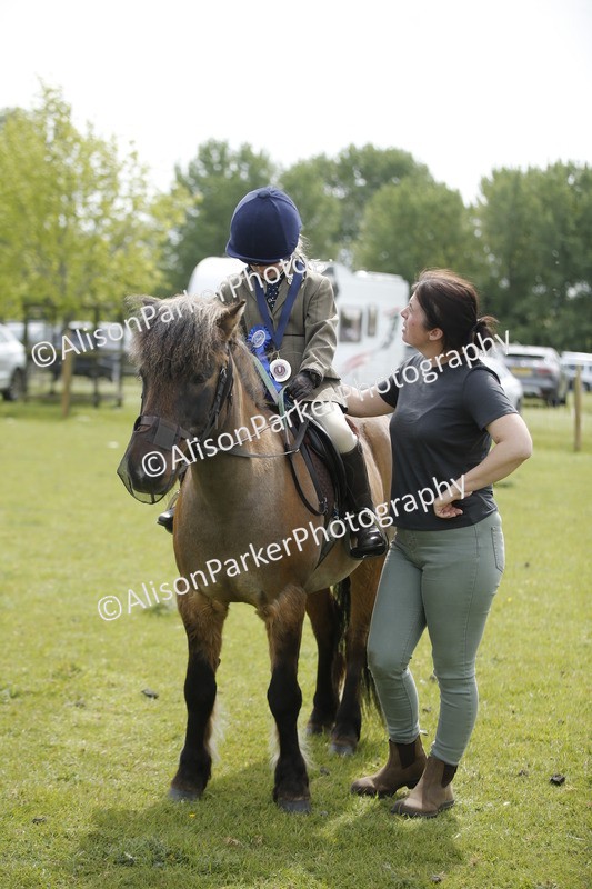 20260426-2157 - Class 9 - Handsomest Gelding