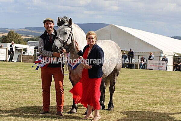 SIAL5267 - overall champion