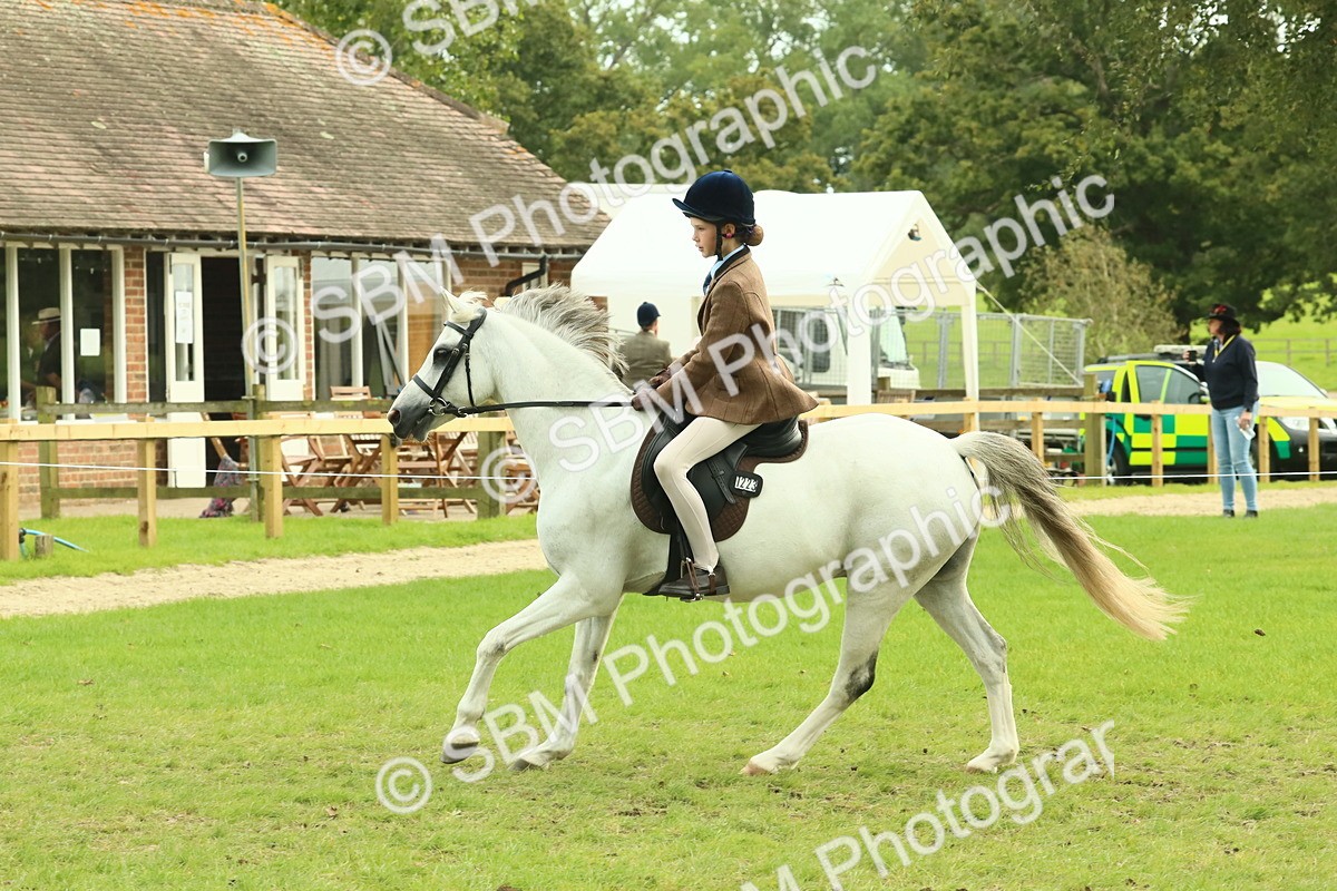 SBM_69925 - S59 - Mountain & Moorland Ridden Small Breeds