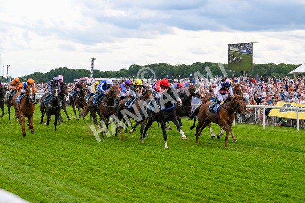 310525-Race 5-Frankies Dream-9857 - Race 5 3.50pm Reg Bond Always And Forever Handicap