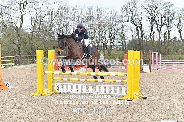 BPP_1037 - CLASS 2 Club/ Unaffiliated 80cms Open