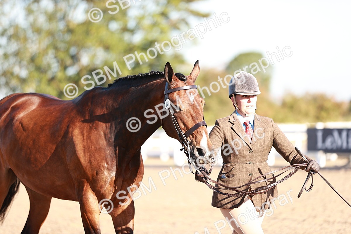 SBM_11194 - Class 401 - IH  Veteran horse