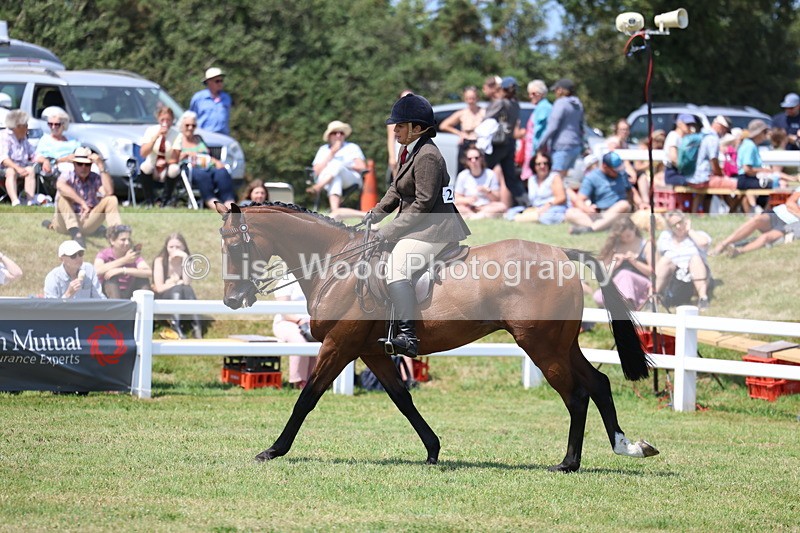3E7A9357 - Class 12: Open Racehorse to Show Horse