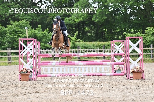 BPP_1473 - CLASS 11 SAT Ariat Senior BritiNovice 2ND ROUND
