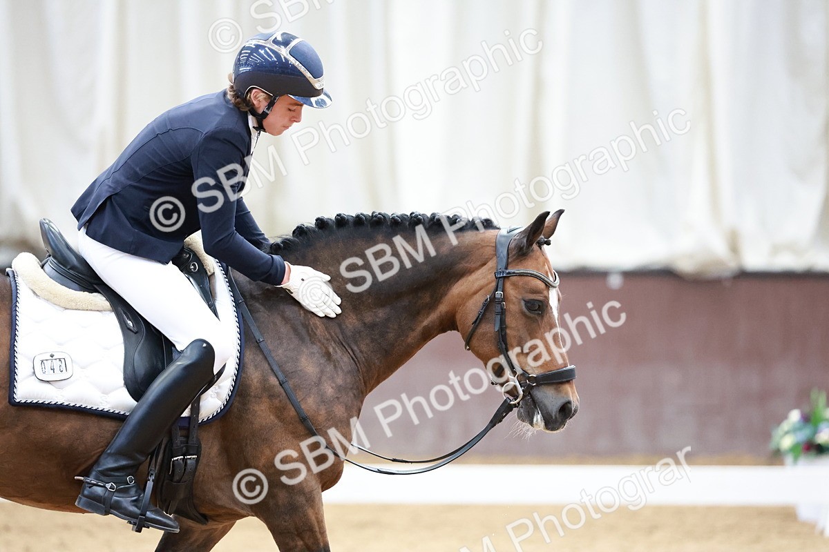 SBM_017168 - Class15 - FEI Pony