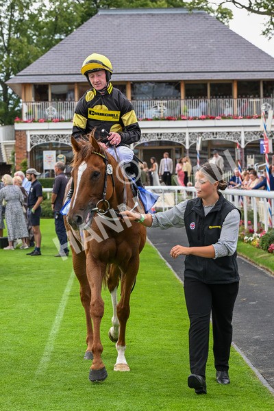 260725-Race 4-Air Force One-0676 - Race 4 3.20pm Sky Bet 'Jump Jockeys' Nunthorpe' Handicap