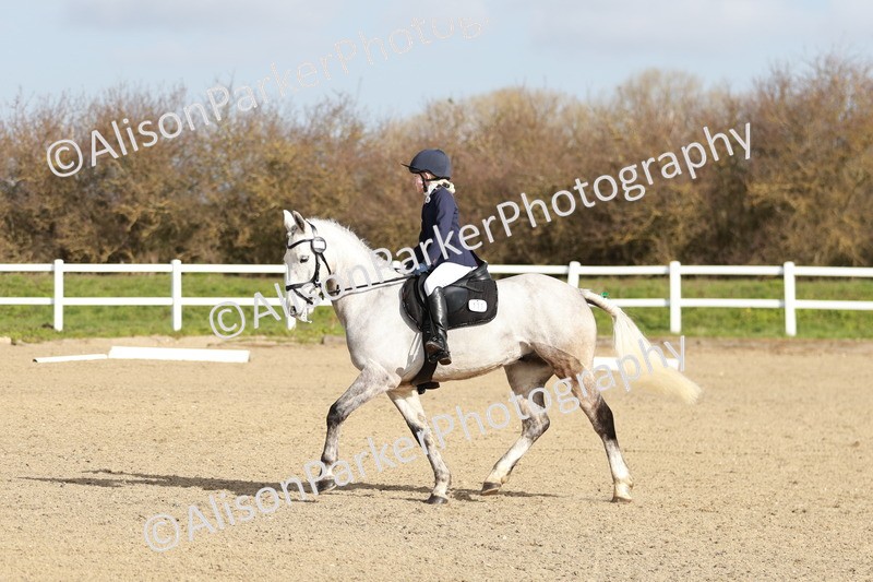 20260314-1044 - DR2 - Intro 3