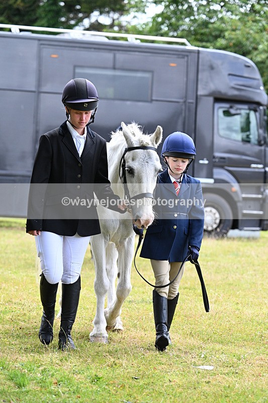 WJ7_6496 - Class 5 Handsome Gelding in hand