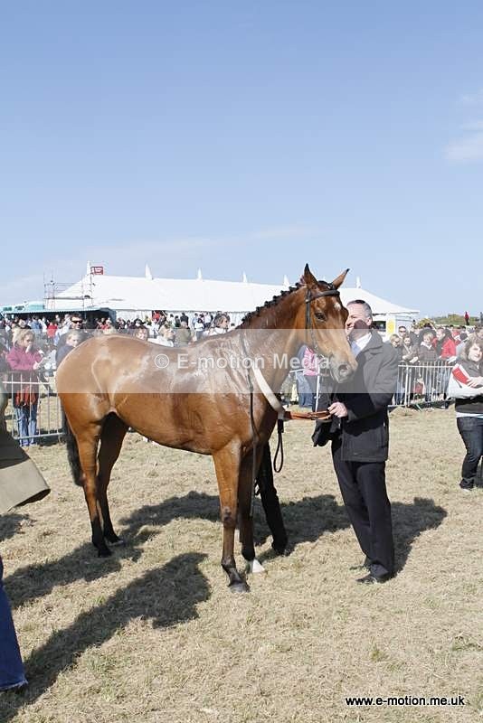  GRD 030510 87 - Guernsey Race Day 03/05/10