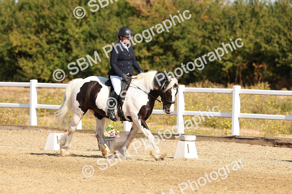SBM_016762 - Class 9 - N5 Bronze 9.30.10.19