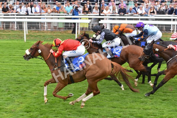 yr23072022r2-40 - Race 2 2.40pm Sky Bet Dash
