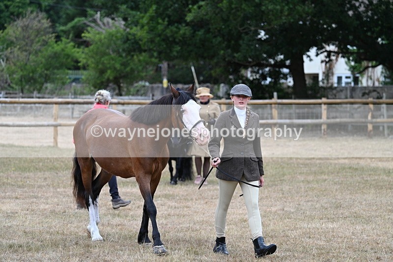 WJ7_8037 - Class 4 Prettiest Mare up to 14.2hh