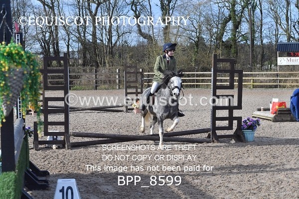 BPP_8599 - TRAINING STAKES