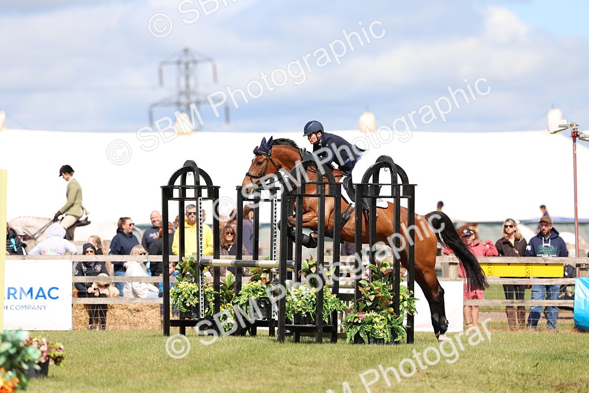 SBM_13563 - Class 206 - Senior Newcomers - 1.10m Open