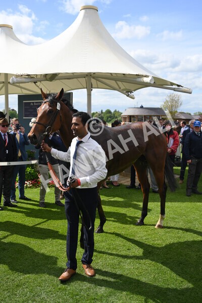 yr12052022r4-59 - Race 4 3.35pm Al Basti Equiworld Dubai Dante Stakes