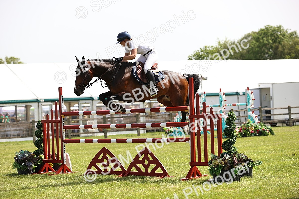 SBM_03948 - Class 201 - British Horse Feedds Speedi Beet HOYS Grade C