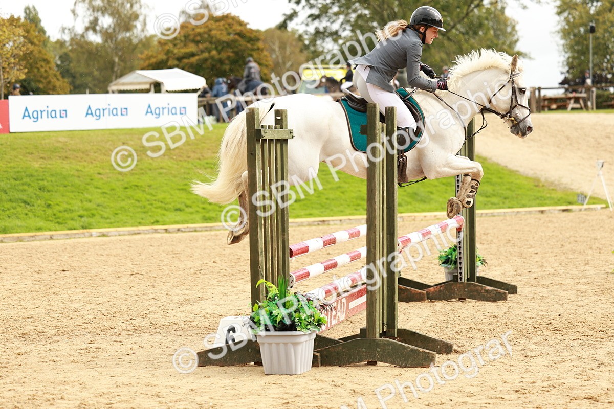 SBM_38413 - Supreme Championship 80cm 85cm
