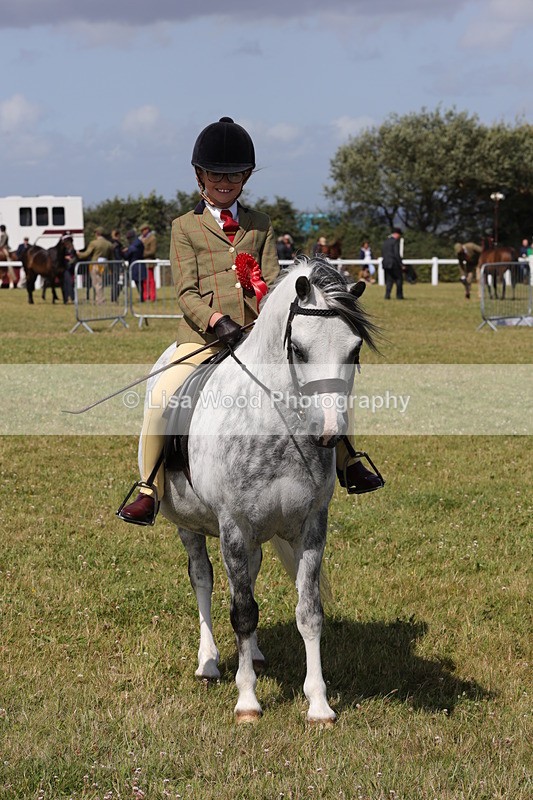 1X9A5449 - Class 37: NPS M&M First Ridden