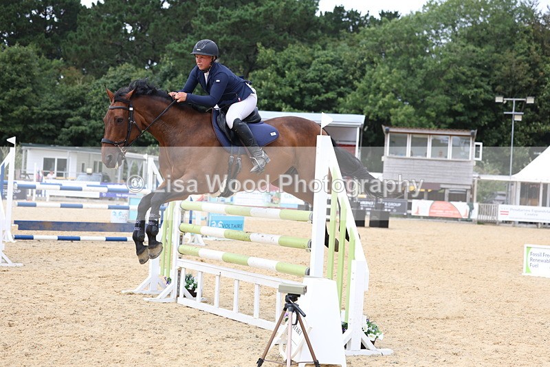 3E7A6555 - Class 9: Senior Foxhunter/1.20 open