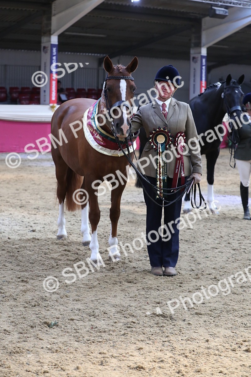 SBM_06571 - Regional IH Champ