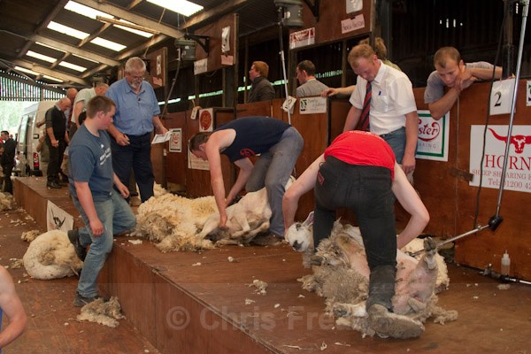 11 - Shearing Competition