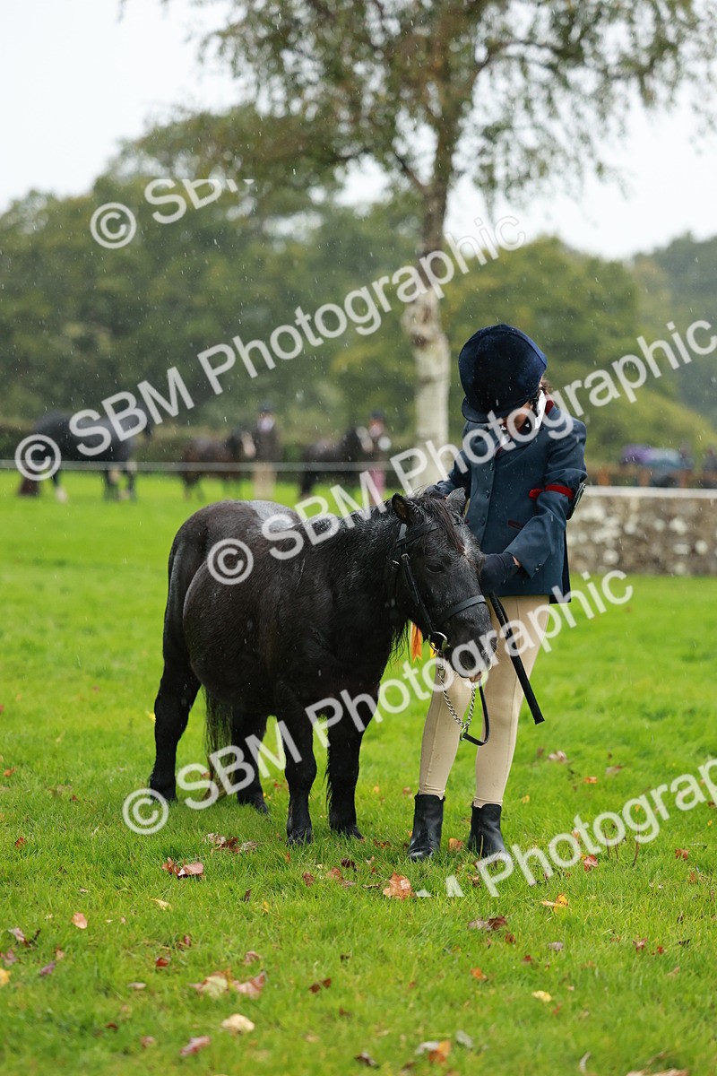 SBM_34953 - S10 - Best In Hand Horse & Pony