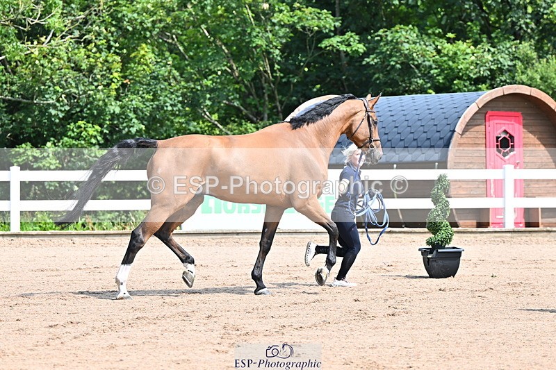 240718A-105237-00931 - Trot Up 11am to 12pm