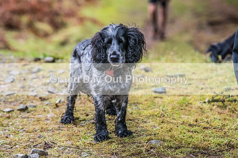 Glentress Marathon-1125 - High Terrain Events Glentress Marathon Trail Run Saturday 19th February 2023
