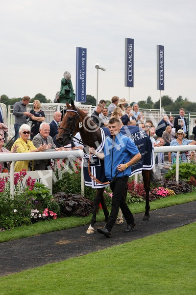 yr20082021r4-123 - Race 4 3.35pm Coolmore Wootton Bassett Nunthorpe Stakes (British Champions Series Race)