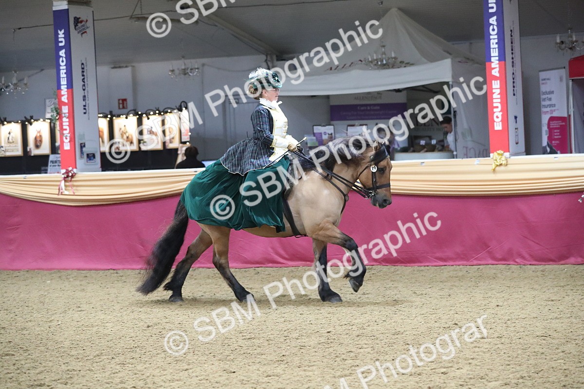 SBM_11988 - Class 106 Ridden Costume- Astride Adult (15-19)