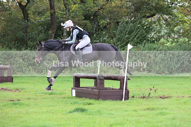 JPP_5478 - Class 5: 90cm Crossed Logs