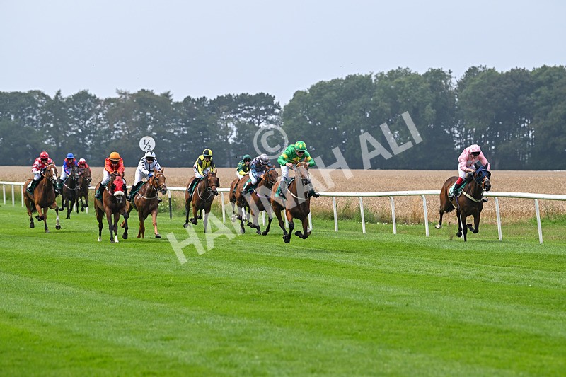 250725-Graham Lee IJF Stable Staff Stakes-E-3835 - The Graham Lee IJF Fund Stable Staff Stakes