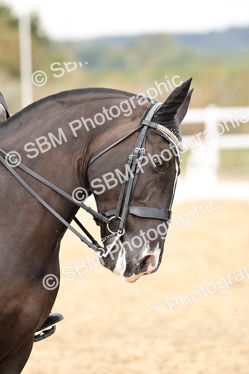 SBM_019752 - Class 18 - Elementary 5