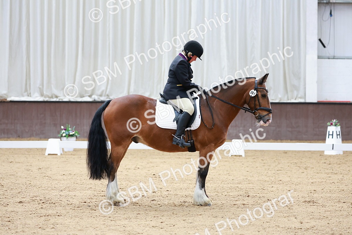 SBM_008119 - Class 6b - Novice 6 - 9.28-10.41