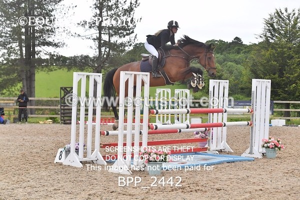 BPP_2442 - SAT CLASS 13 Senior Foxhunter/ 1.20m Open