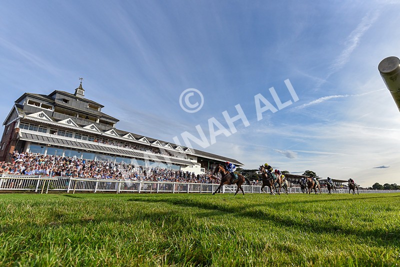 140826-Race 3-Equity Law-5381 - Race 3 18.43pm Heineken 0% Handicap