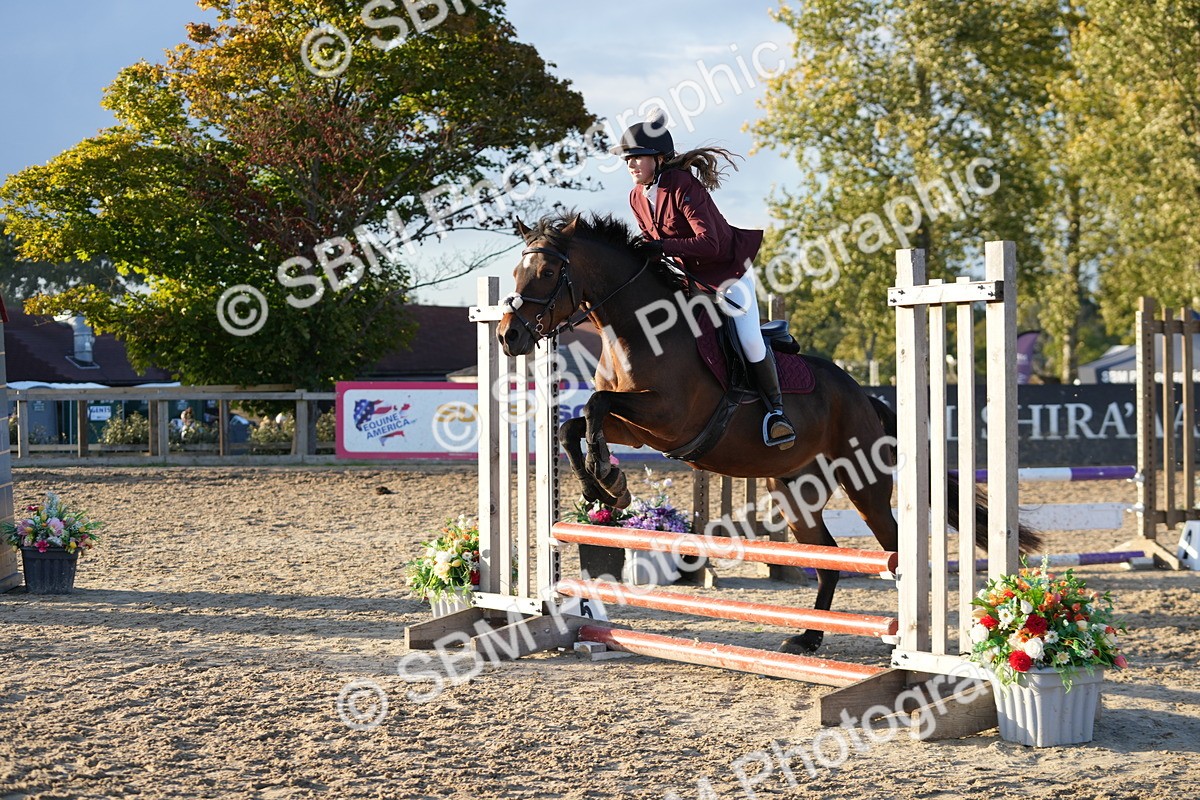 SBM_54158 - Supreme Championship 60cm 65cm