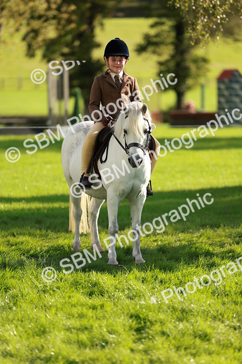 SBM_28686 - S7 - Novice & Newcomer Ridden Pony