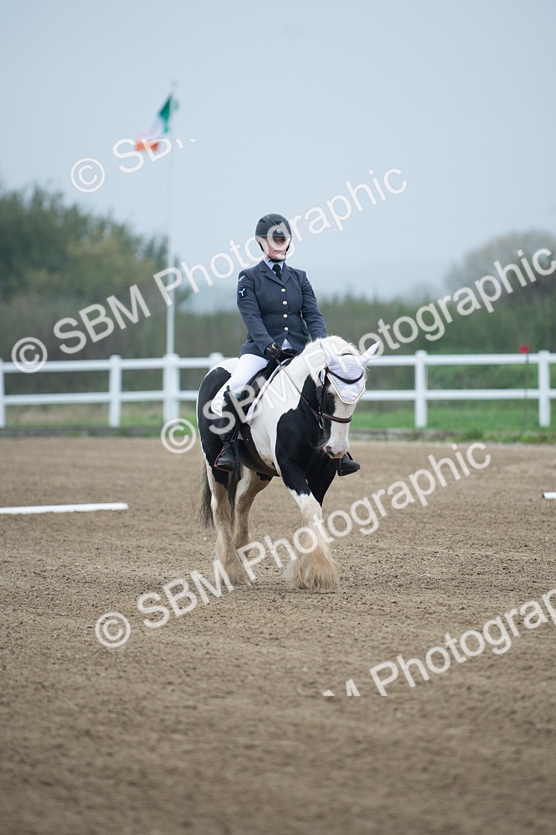 SBM_003381 - Introductory Test 3