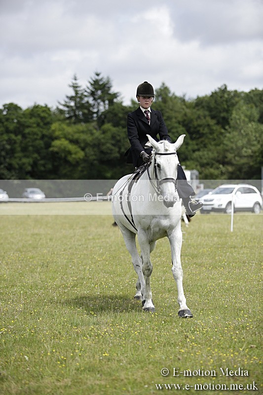BVR160717-1965 - Side Saddle Classes 16/07/17