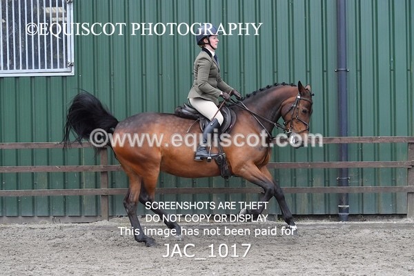JAC_1017 - CLASS 7 BHS Scotland Riding Club Style Jumping (0.85m)