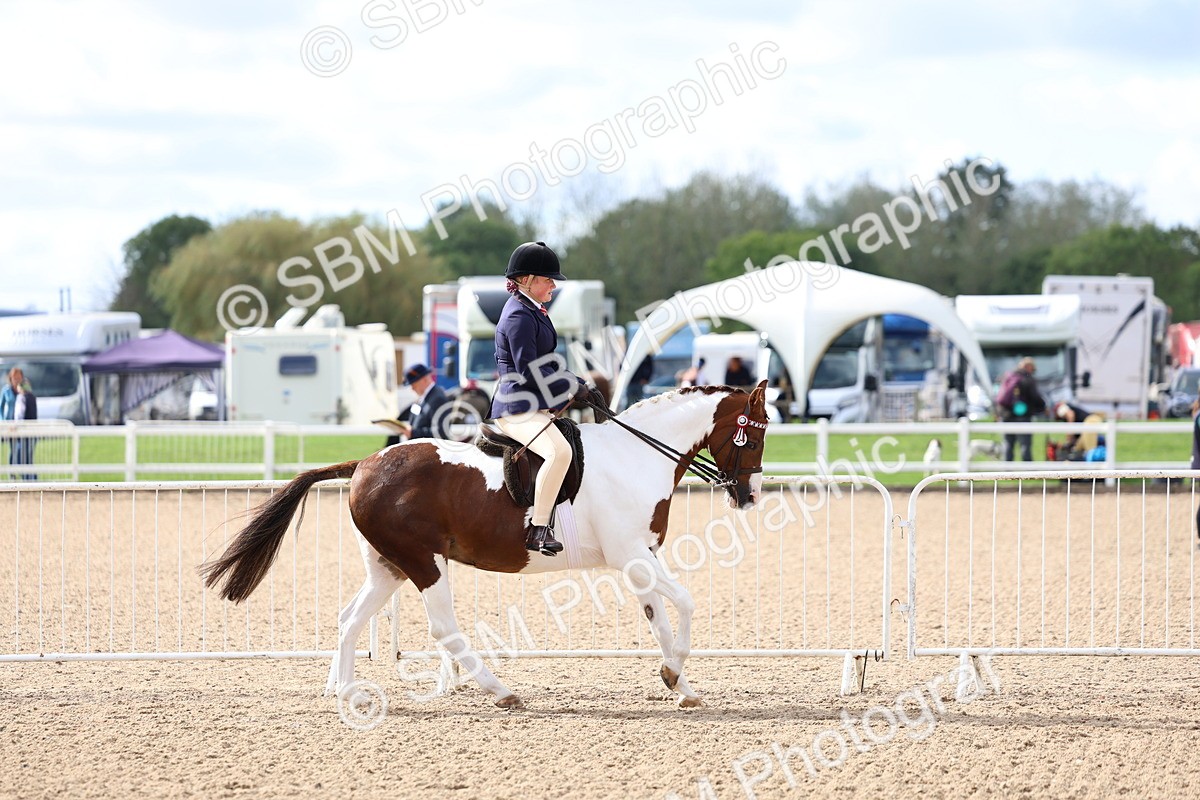 SBM_10043 - Class 304 - Ridden Part Bred Horse Pony