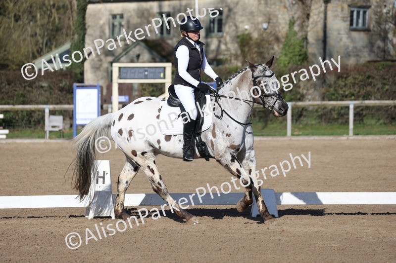 20260214-0388 - Class 4 - Novice 2