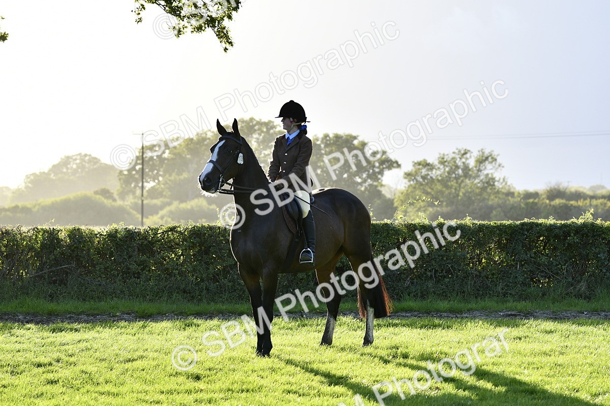 SBM_53574 - S14 - Riding Club Horse