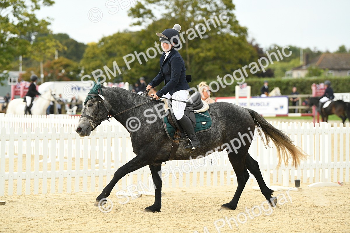 SBM_73399 - J16 - Junior Pony 75cm Championship
