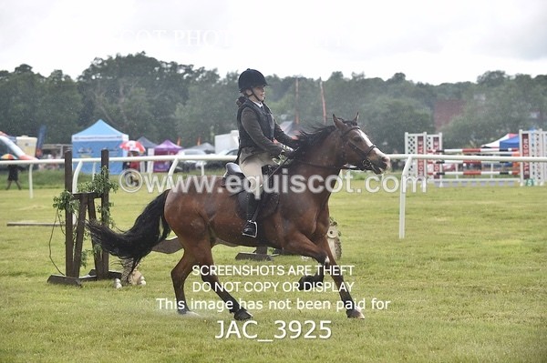 JAC_3925 - 55cm WORKING HUNTER