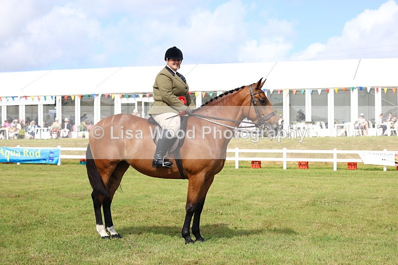 3E7A9577 - Class 4: Rising Star M/H Hunter