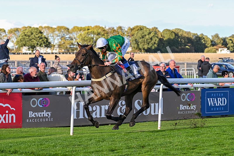 170925-Race 7-Sonic Pioneer-6216 - Race 7