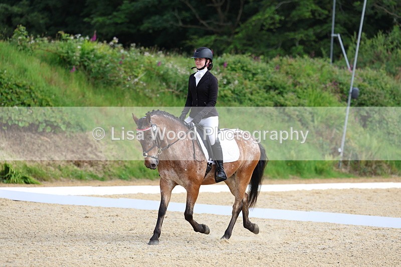 3E7A1425 - Class 2: Intro 2 2024 Section B