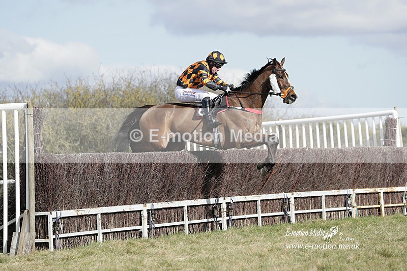 PtP 260223 453 - South & West Wilts Point-to-Point Larkhill 26/02/23